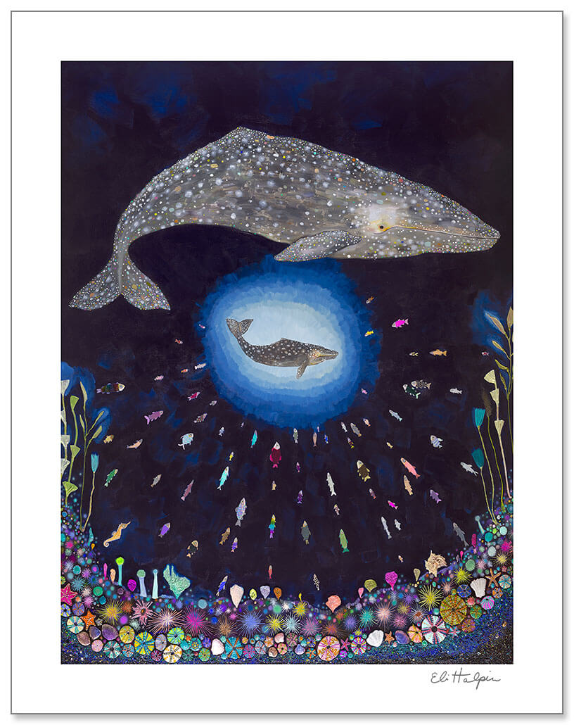 Gray Whale Calf Print by Eli Halpin + 11"x14" Paper