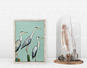 Heron Focus Mini Framed Canvas Print by Eli Halpin