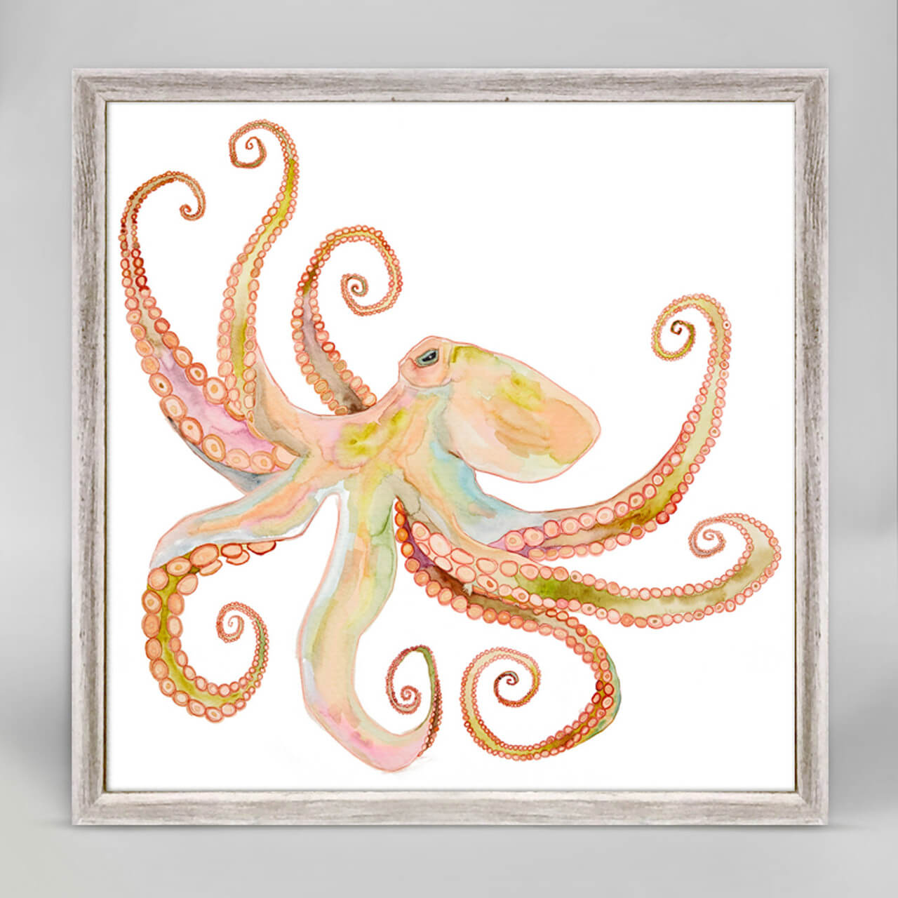 Solo Octopus Mini Framed Canvas Print by Eli Halpin