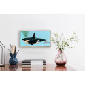 Orca Mini Framed Canvas Print by Eli Halpin
