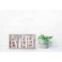 Birch Trees and Friends on Pink Mini Framed Canvas Print by Eli Halpin