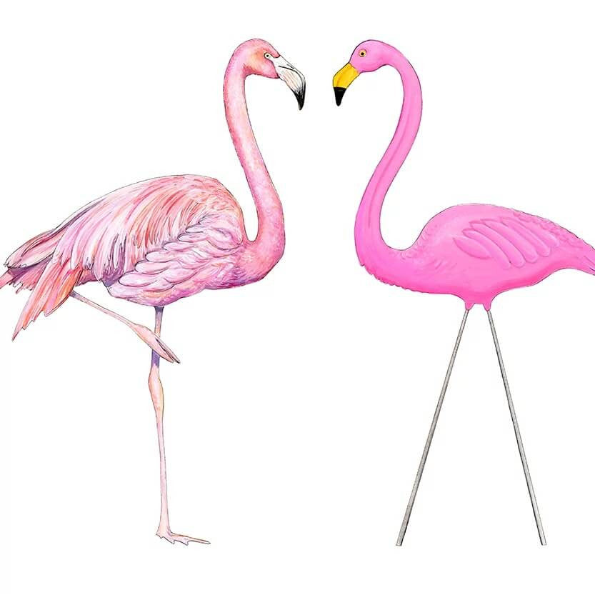 Flamingo Meets Flamingo  Greeting Cards by Emily Mercedes