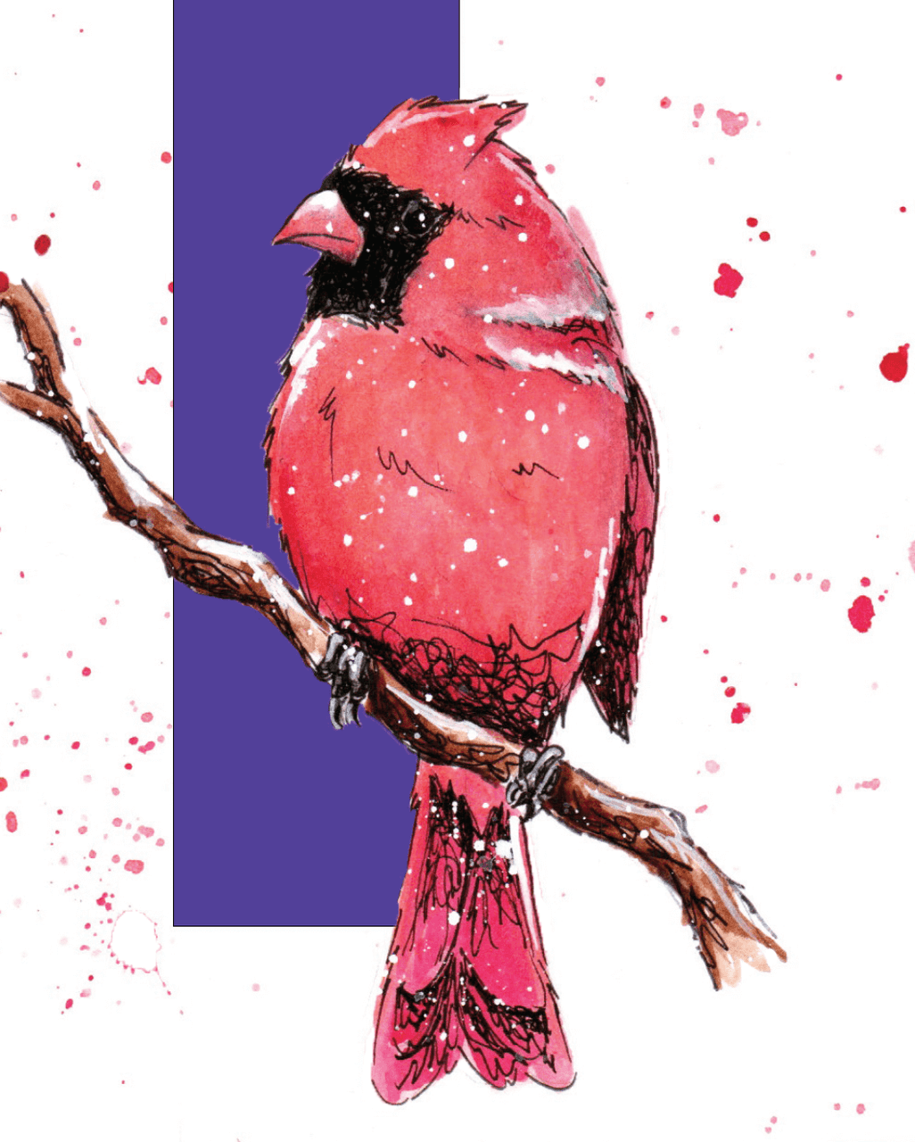 Northern Cardinal Print
Where’d The Wild Things Go
Emily Tolipova
10”h x 8”w Premium matte paper