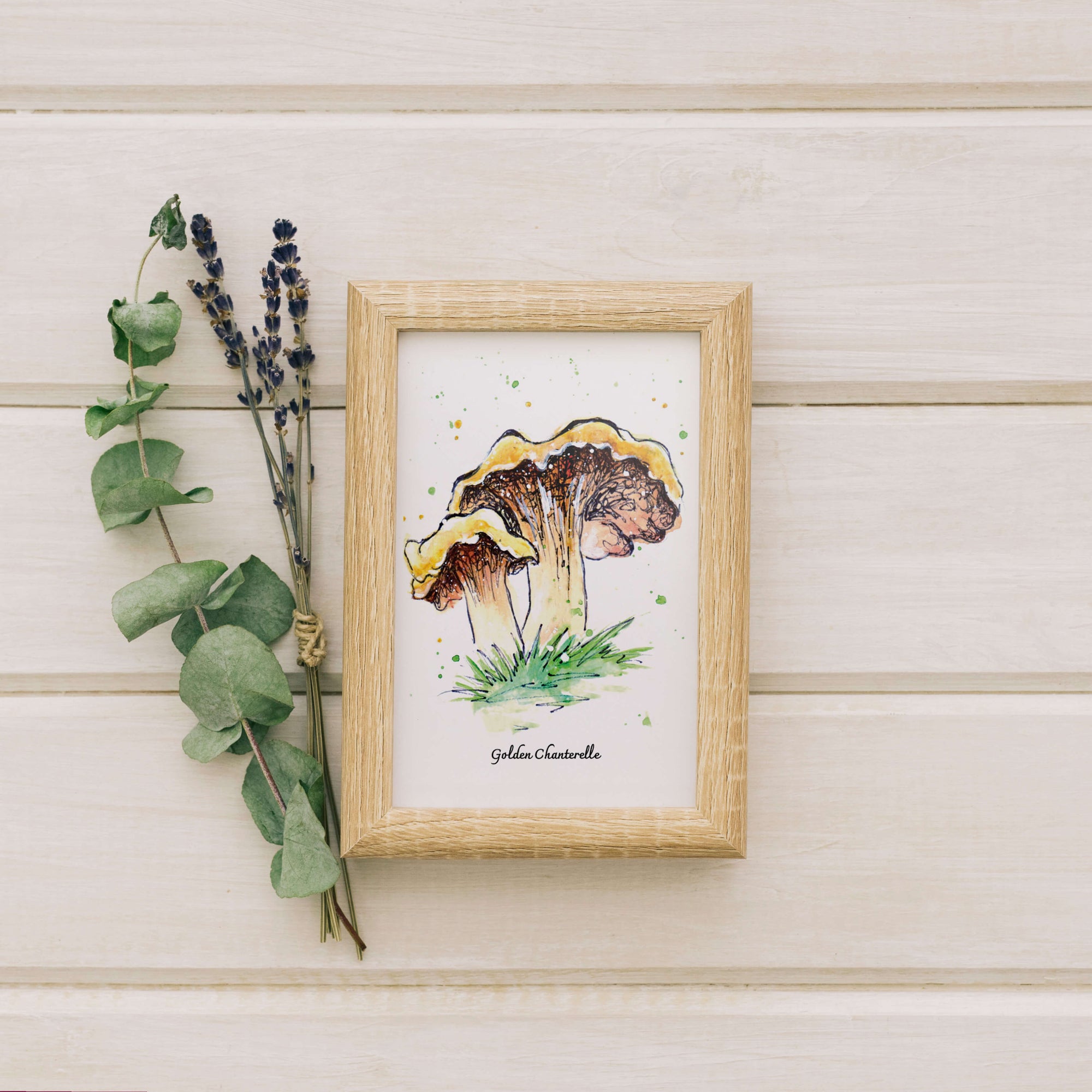 Golden Chanterelle Mushroom Mini Print by Emily Tolipova of Where'd The Wild Things Go