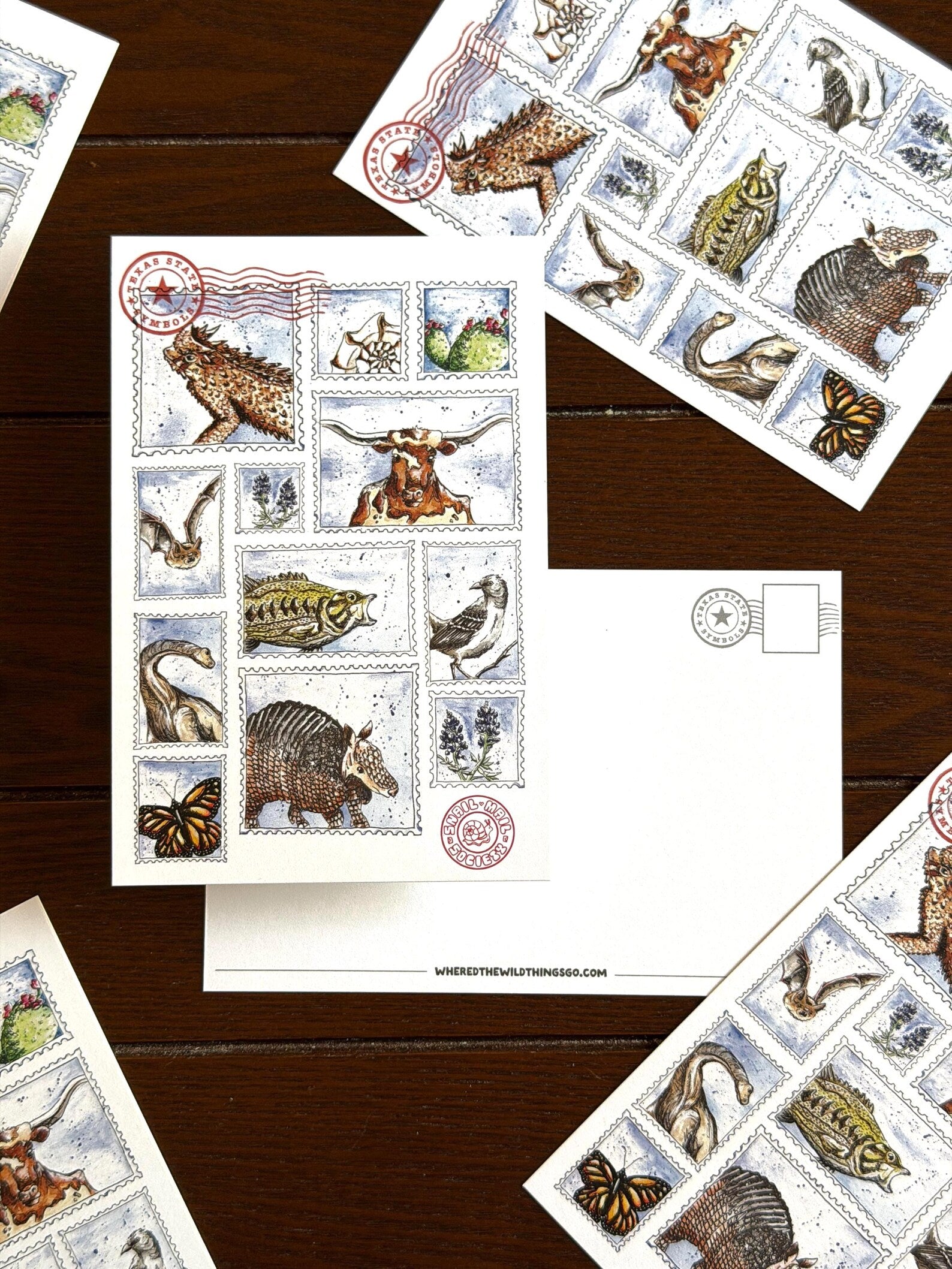 Texas State Symbols Watercolor Postcard by Emily Tolipova of Where’d The Wild Things Go