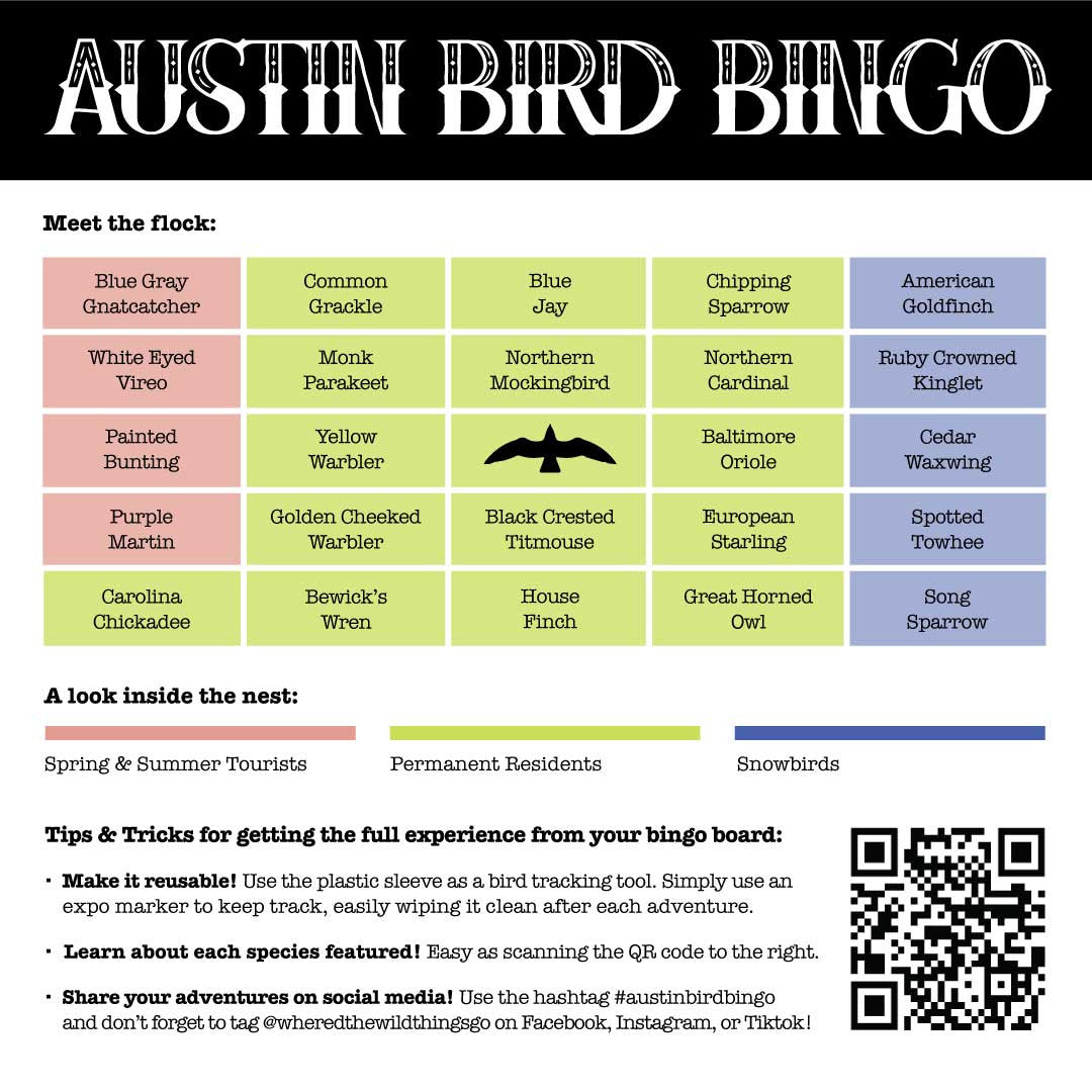 The Bird Bingo card is a playful yet educational tool jam packed with information. It encourages locals and visitors to explore Austin in a unique way while learning about its rich bird biodiversity.