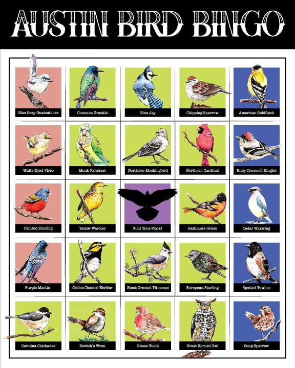 The Bird Bingo card is a playful yet educational tool jam packed with information. It encourages locals and visitors to explore Austin in a unique way while learning about its rich bird biodiversity.