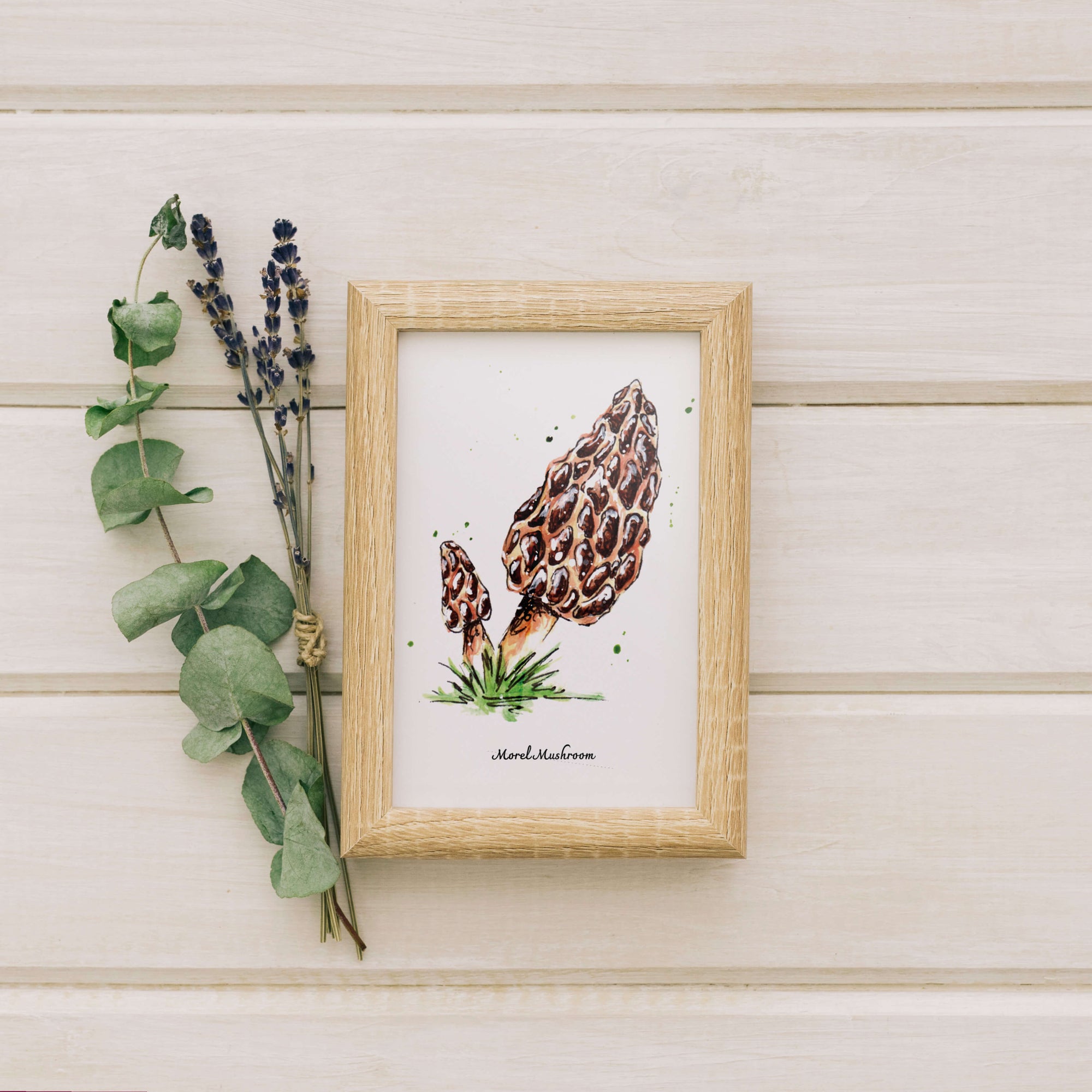 Morel Mushroom Mini Print by Emily Tolipova of Where'd The Wild Things Go