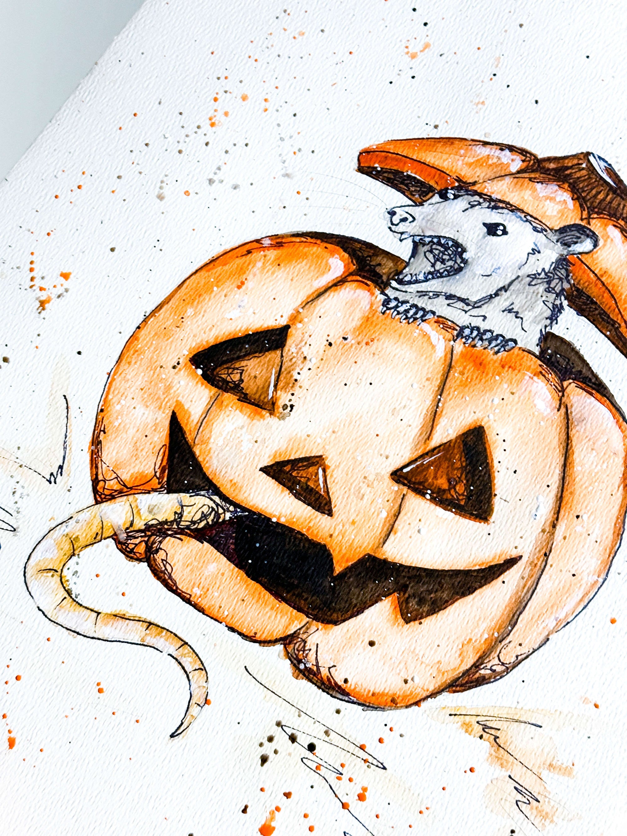 Opossums & Pumpkins Print by Emily Tolipova of Where'd The Wild Things Go