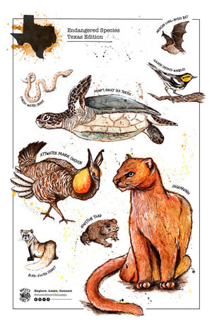 Emily is inspired by everything colorful and bright - print of Endangered species in Texas.