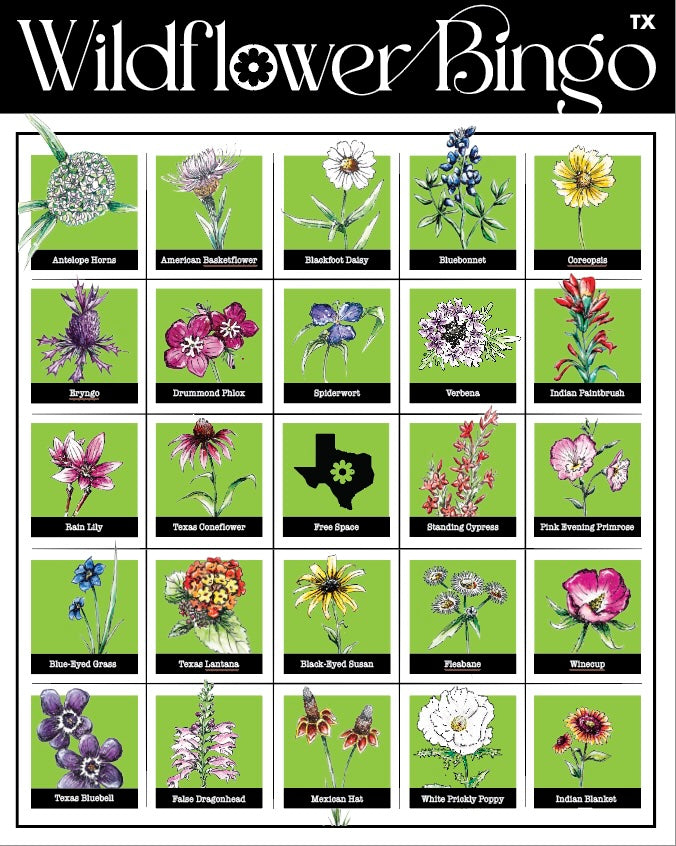 Wildflower Bingo Print by Emily Tolipova of Where'd The Wild Things Go
