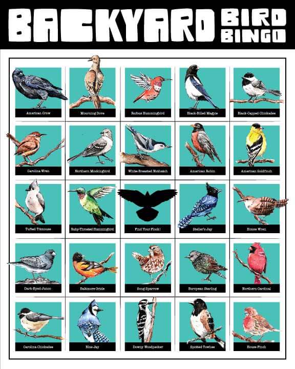 Backyard Bird Bingo Print by Emily Tolipova of Where'd The Wild Things Go