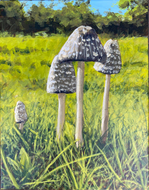 Inkcaps in the Sun by Erica Dawn Smith