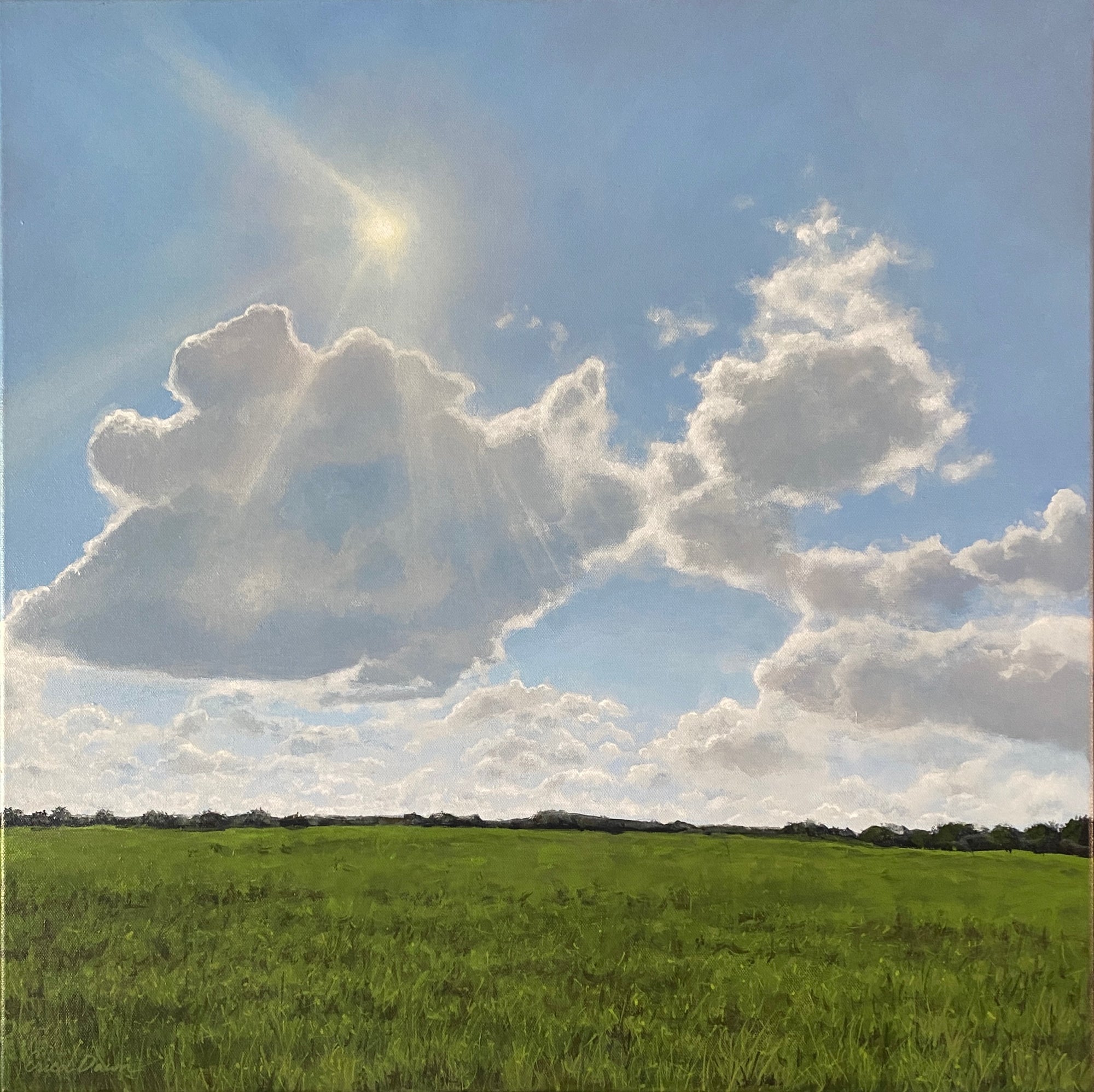 Promise of Light by Erica Dawn Smith