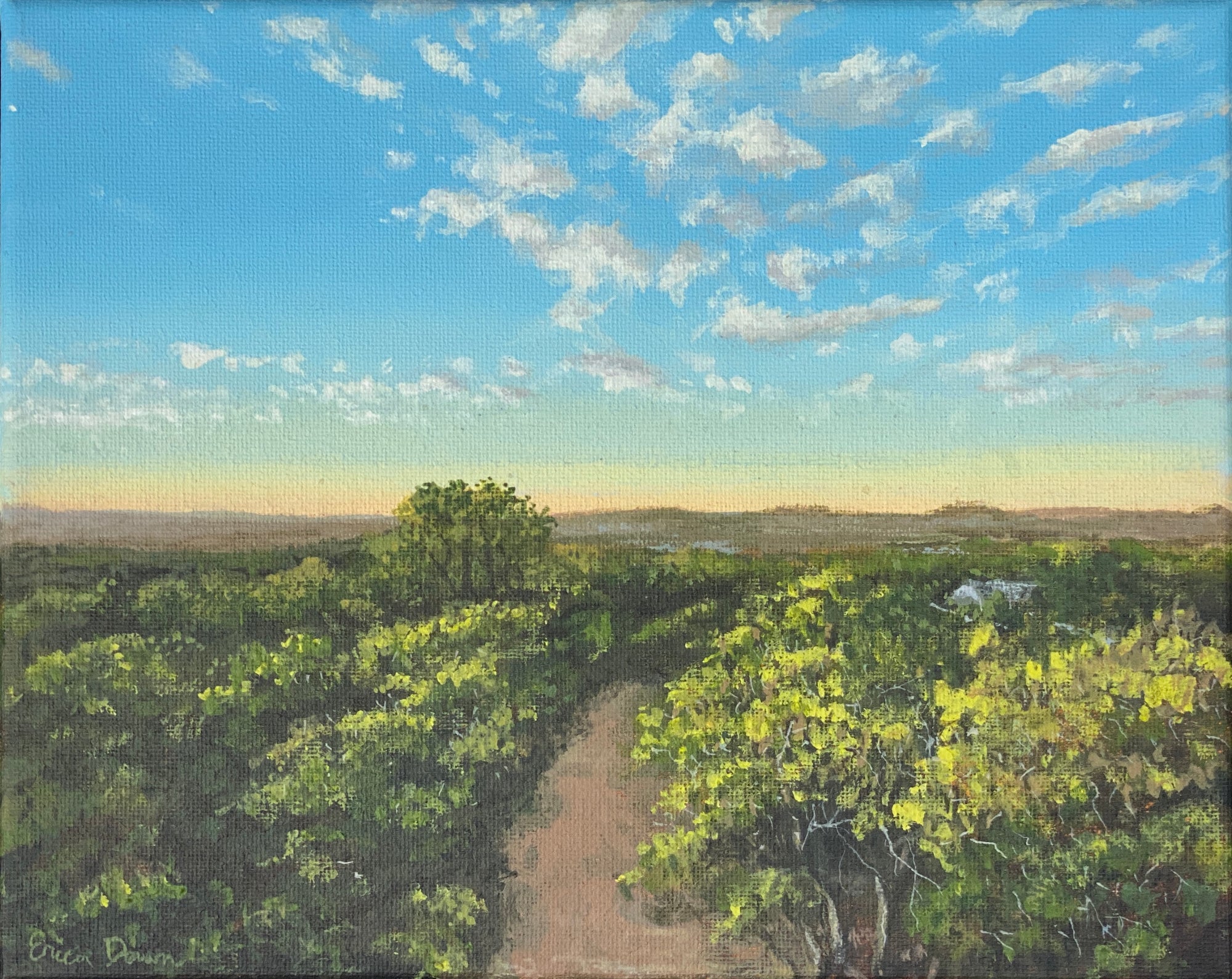 Treehouse View by Erica Dawn Smith