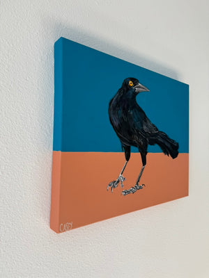 Nigel by Casey Gallagher