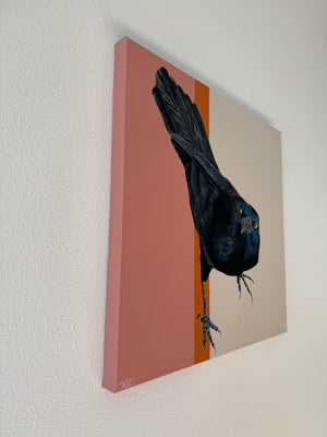 Sven by Casey Gallagher