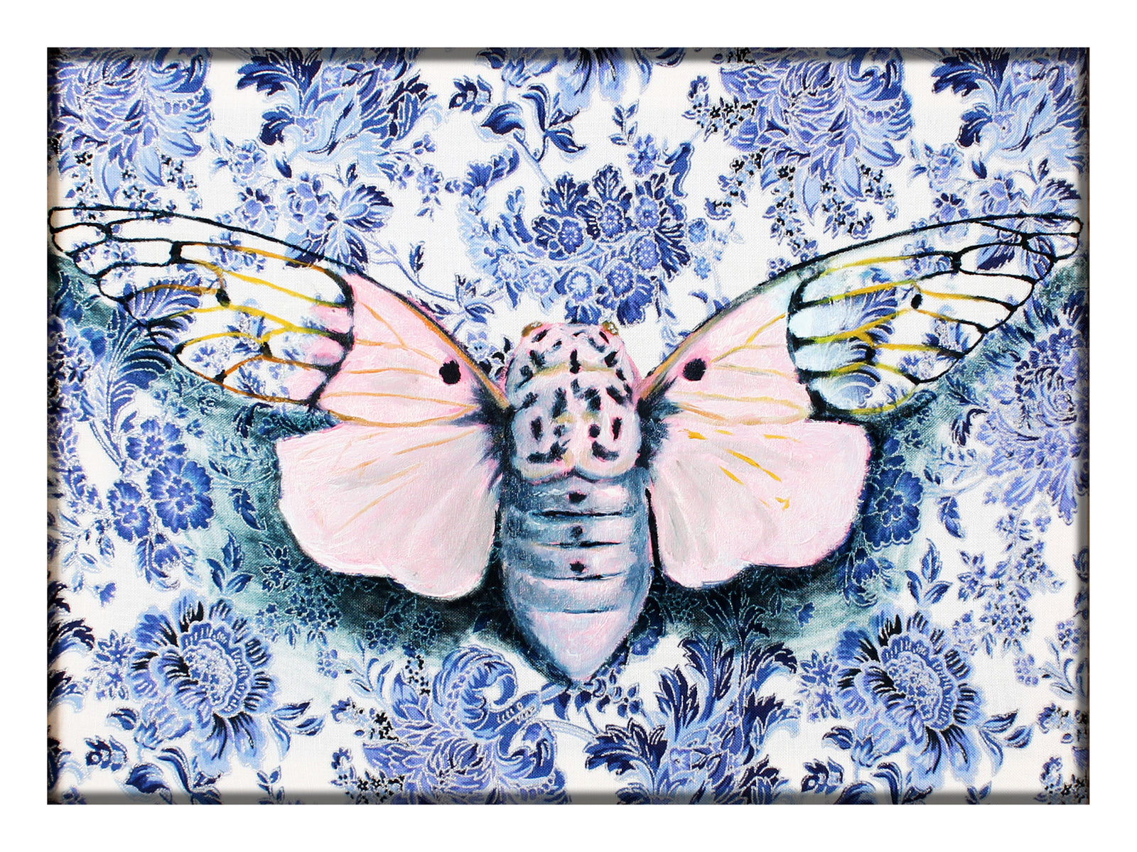 Ghost Cicada Print by Phillip Seymour + 9"x12"