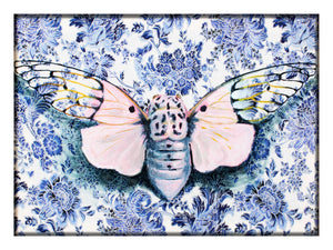 Ghost Cicada Print by Phillip Seymour + 9"x12"