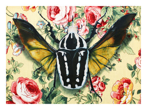 Goliath Beetle Print by Phillip Seymour + 9"x12"