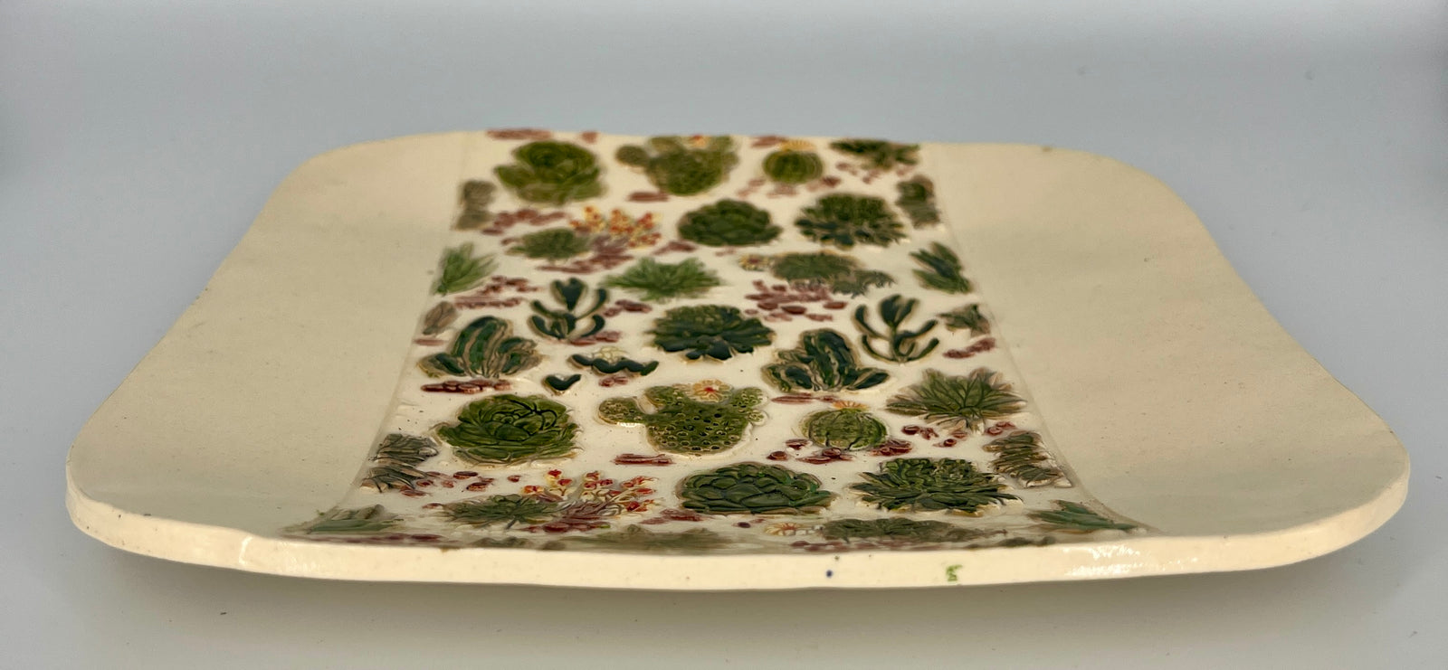 Colorful Cacti Tray by Hooting Buddha