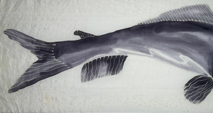 Black and White Catfish Banner by Natalie Wilson