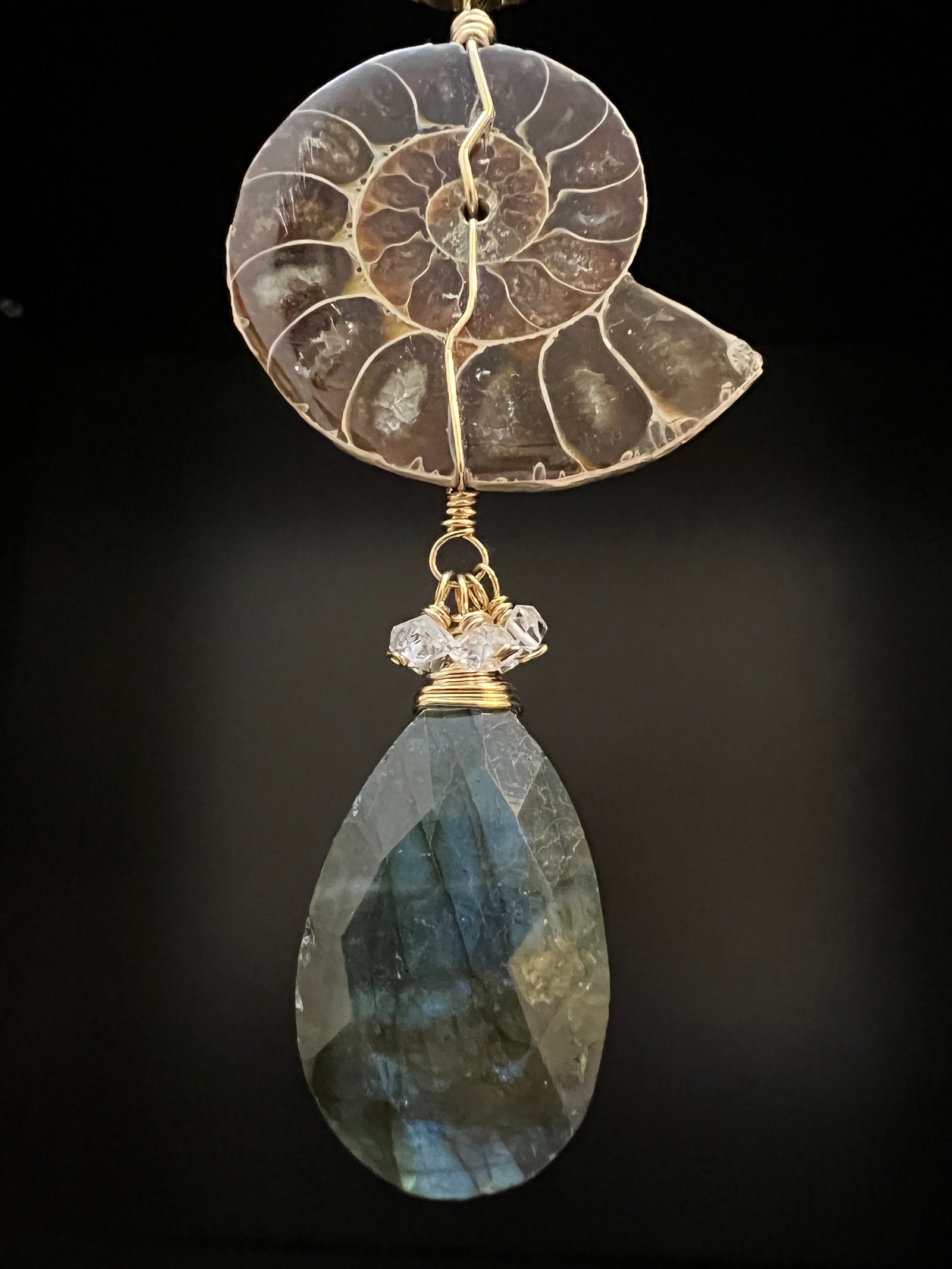 Ammonite and Labradorite Necklace by Pake