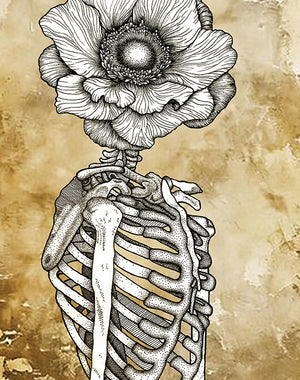 In Bloom III Color Print by Laura Clay + 11"x14"