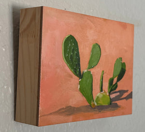 Little Cactus by Leigh Ann Torres