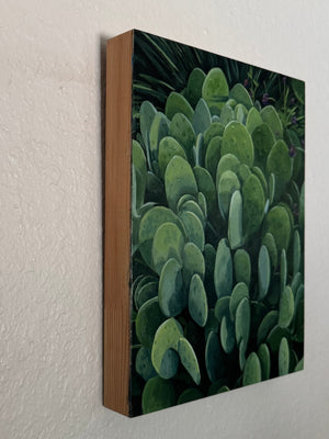 Prickly Pear Mass by Leigh Ann Torres