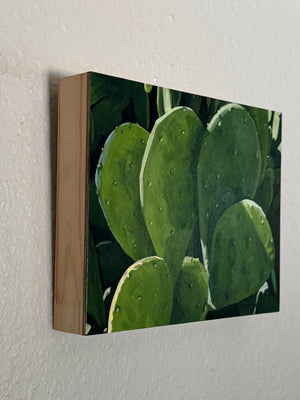 Prickly Pear Shadows and Light by Leigh Ann Torres