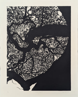 Live Oak Study 2 by Leslie Deil