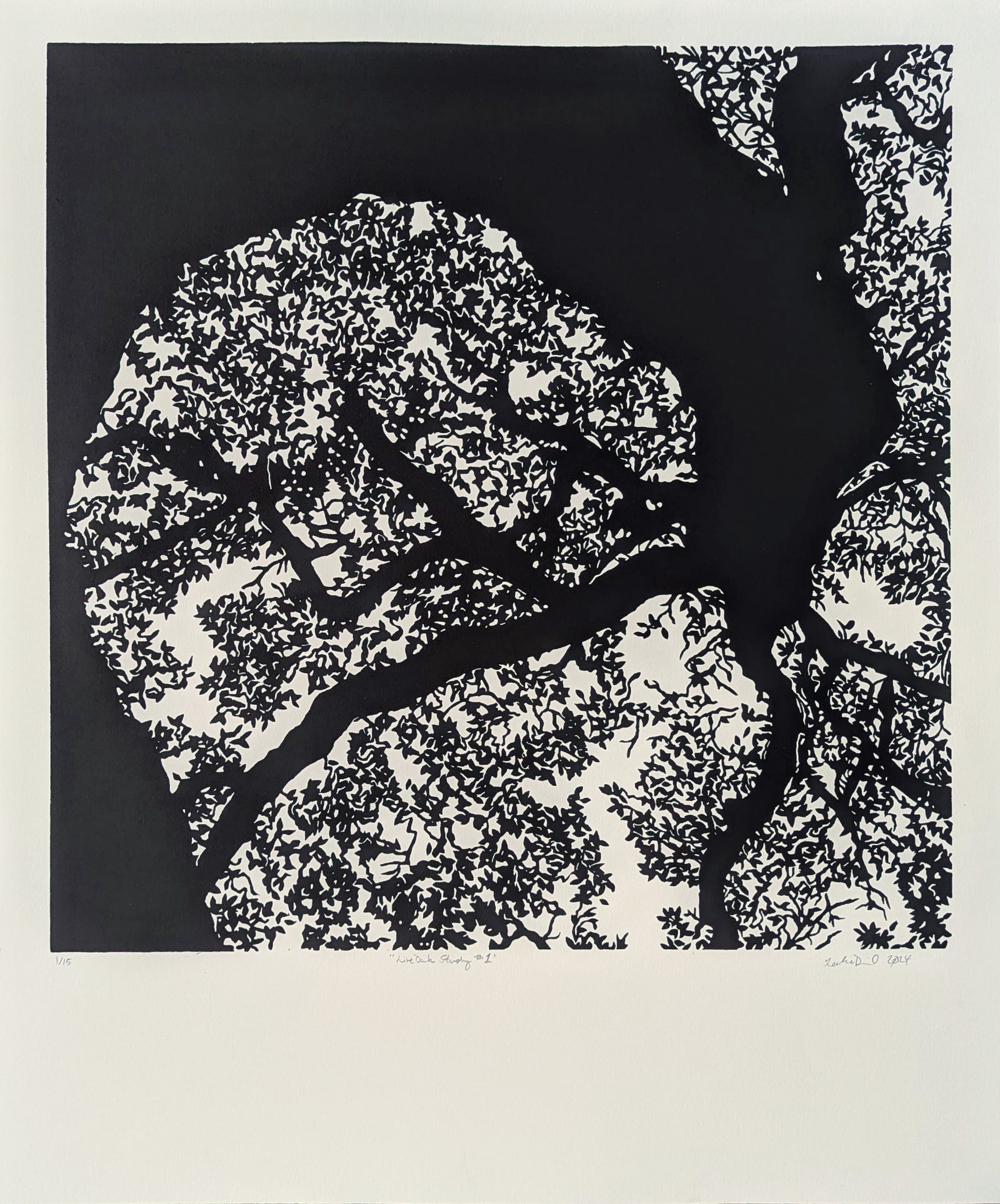 Live Oak Study 1 by Leslie Deil