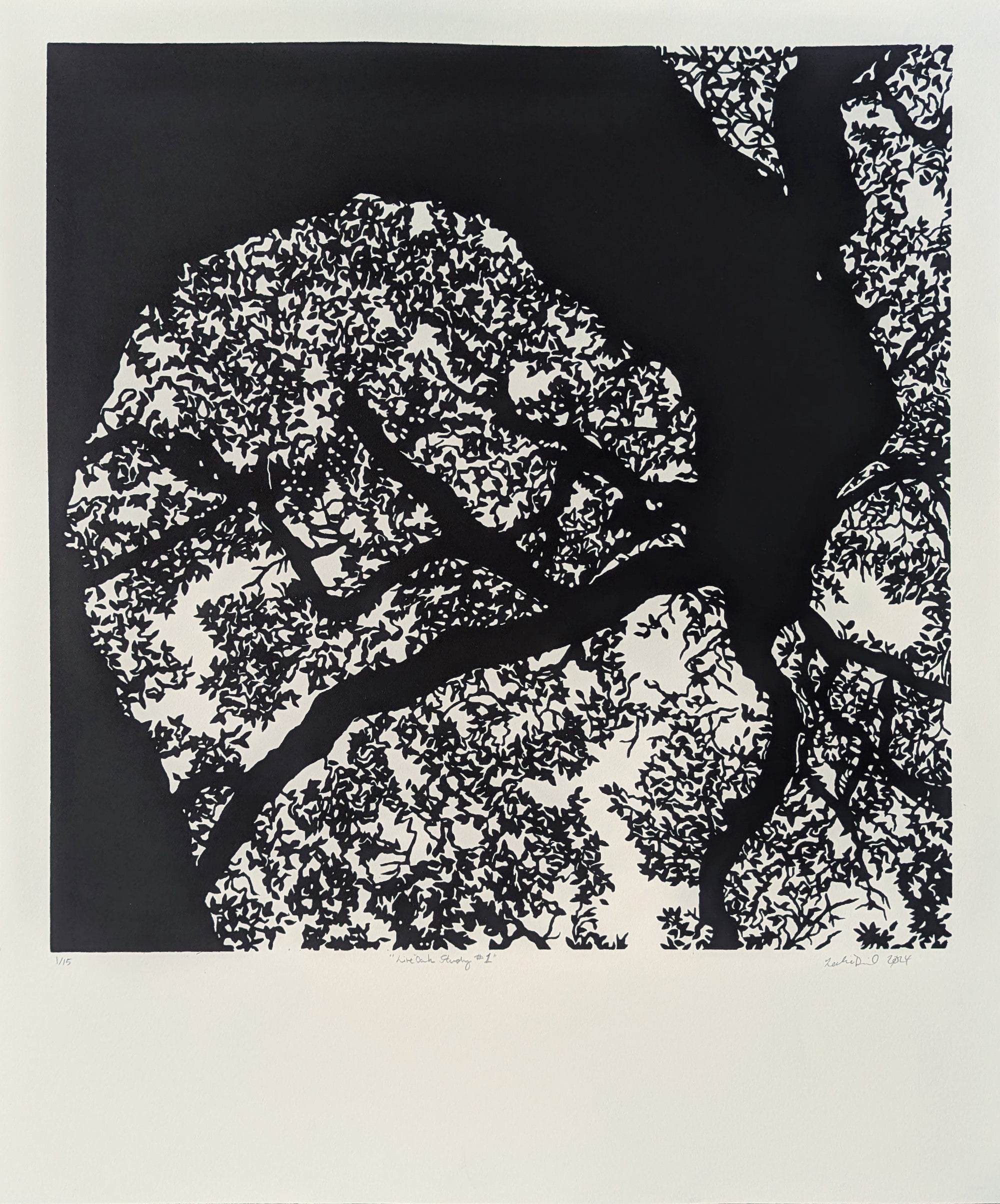 Live Oak Study 1 by Leslie Deil