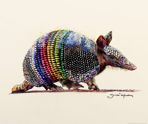 Rainbow Armadillo by Louise Reading