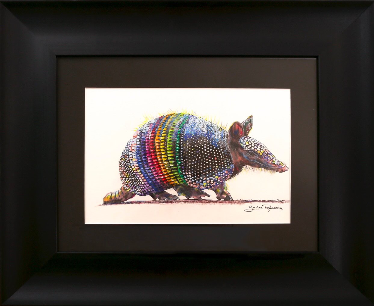 Rainbow Armadillo by Louise Reading