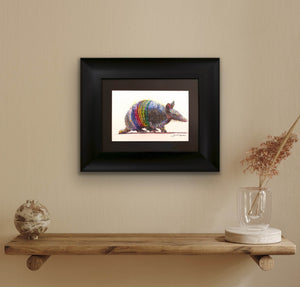 Rainbow Armadillo by Louise Reading