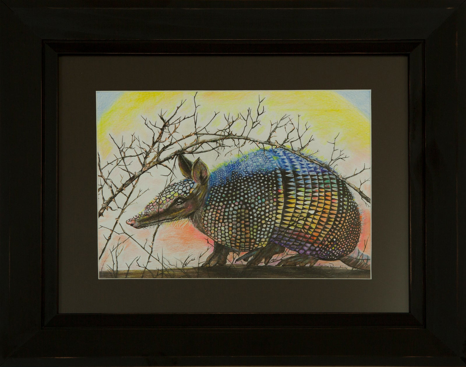 The Candy Armadillo by Louise Reading