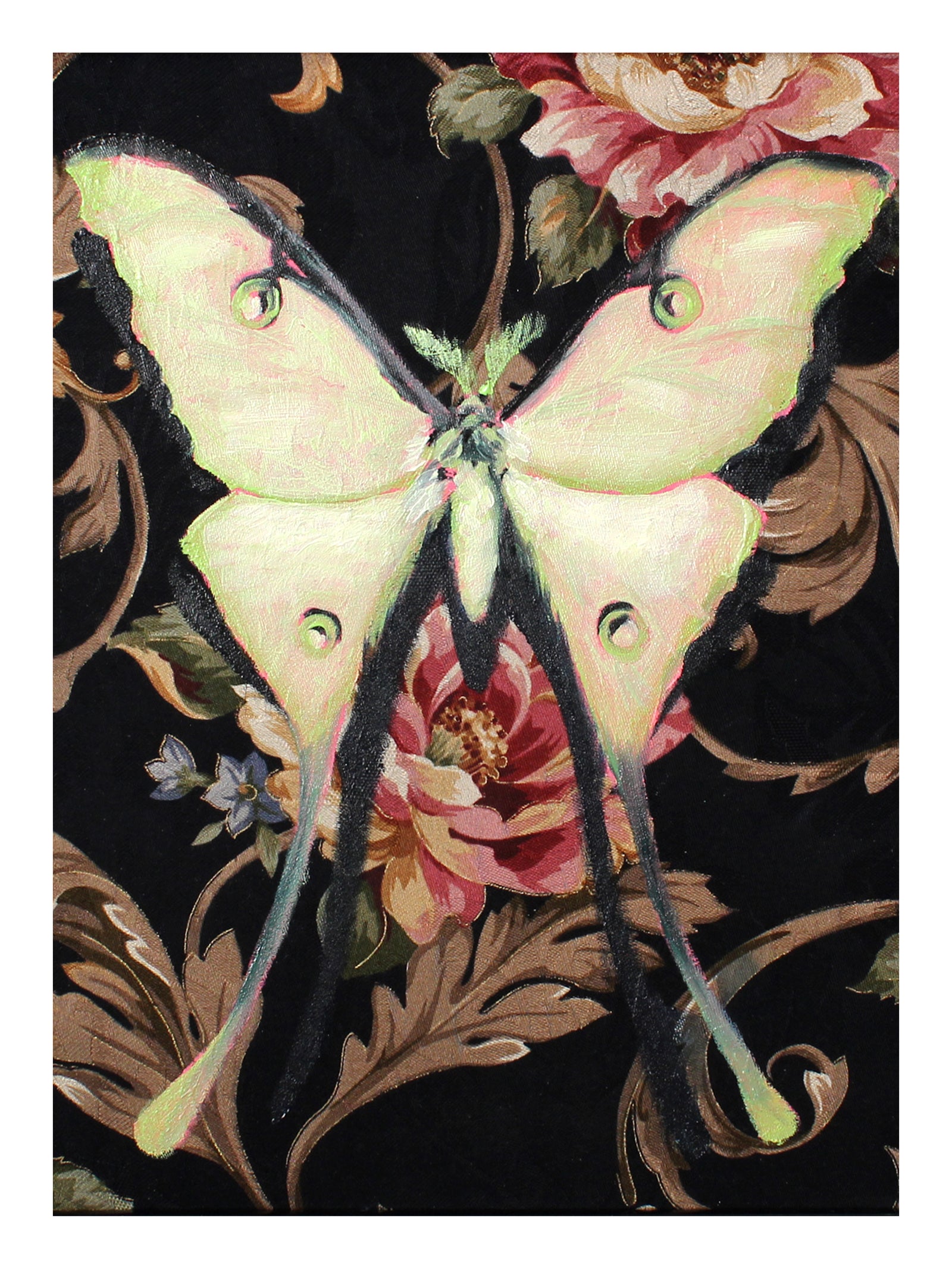 Lunar Moth Print by Phillip Seymour + 9"x12"