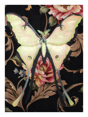 Lunar Moth Print by Phillip Seymour + 9"x12"