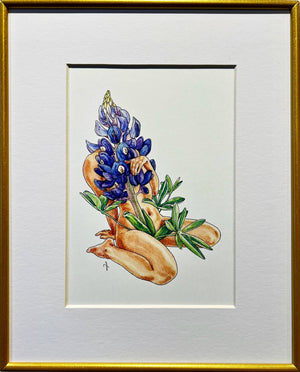 Bluebonnet Bliss Print by Maridad Studio - Framed