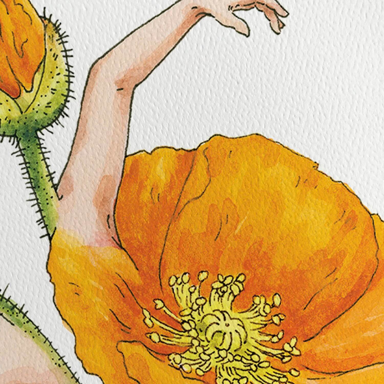 California Poppy Print by Maridad Studio + Limited Edition