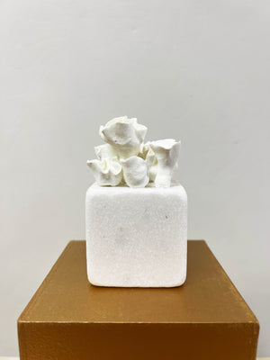 My Little Garden # 3 by Natasha Kanevski + Sculpture