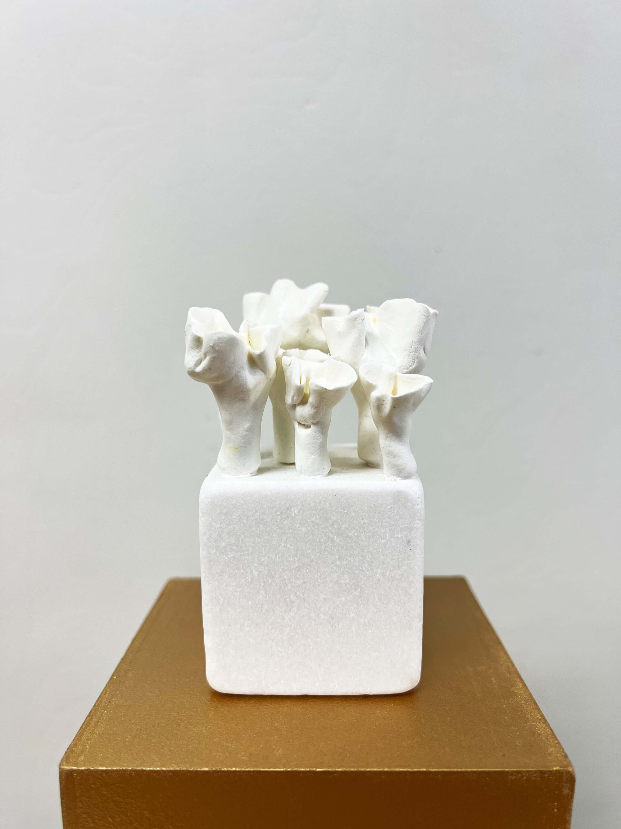 My Little Garden #4 by Natasha Kanevski + Sculpture