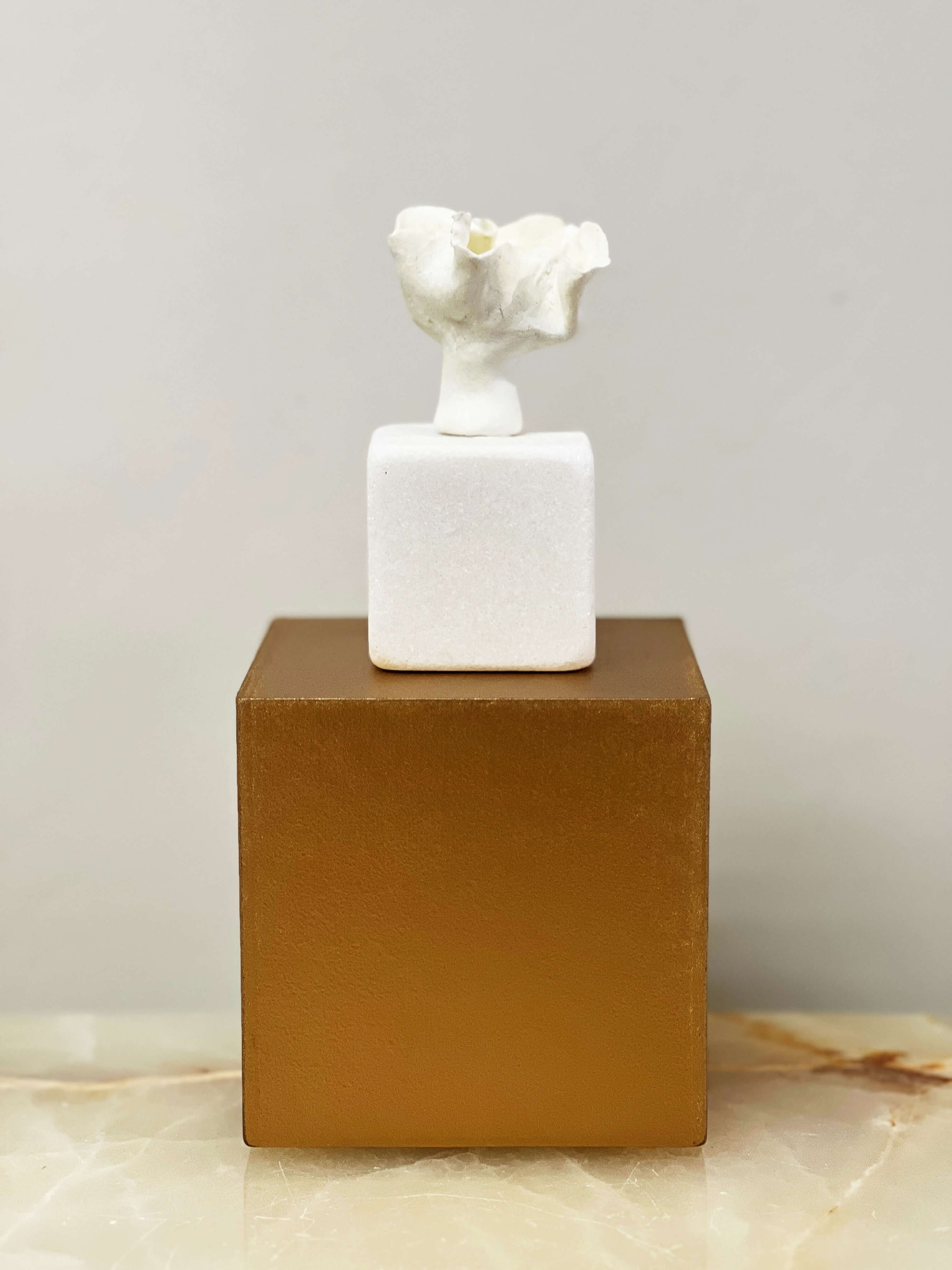 My Little Garden #6 by Natasha Kanevski + Sculpture