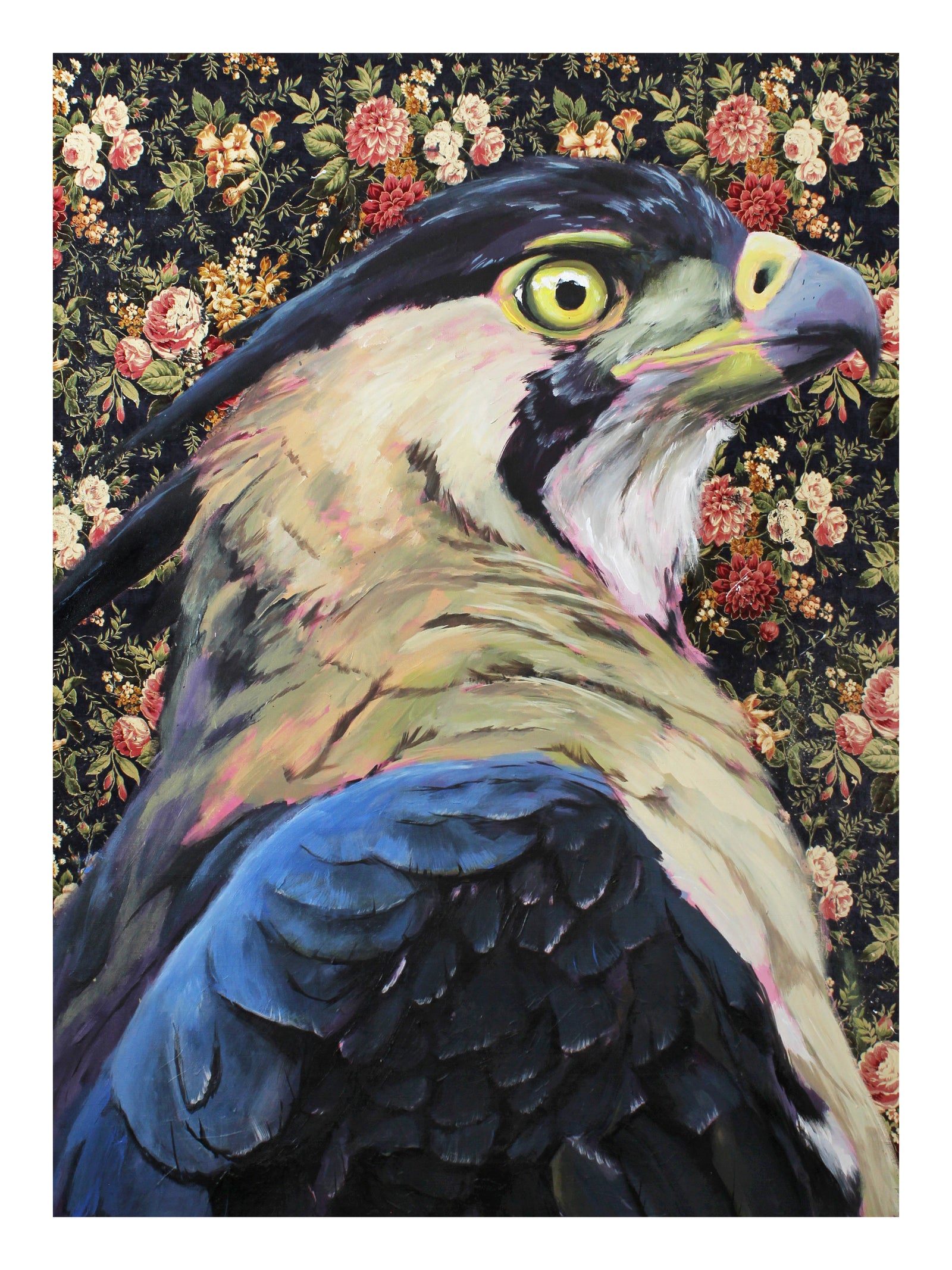Ornate Eagle Hawk Print by Phillip Seymour + 9"x12"