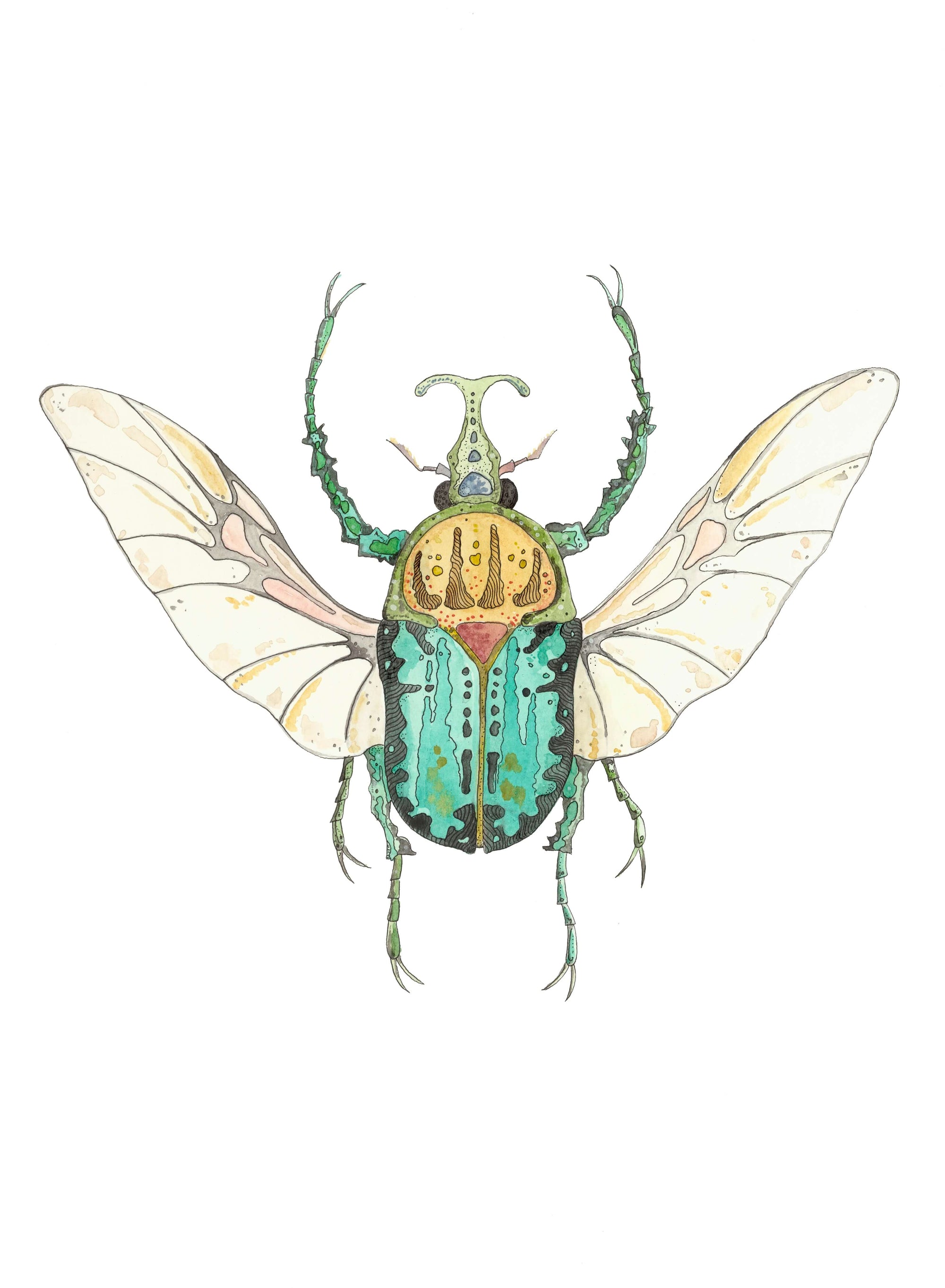 Coleopteros - Green Print by Patrick Kelleher + 11" x 15"