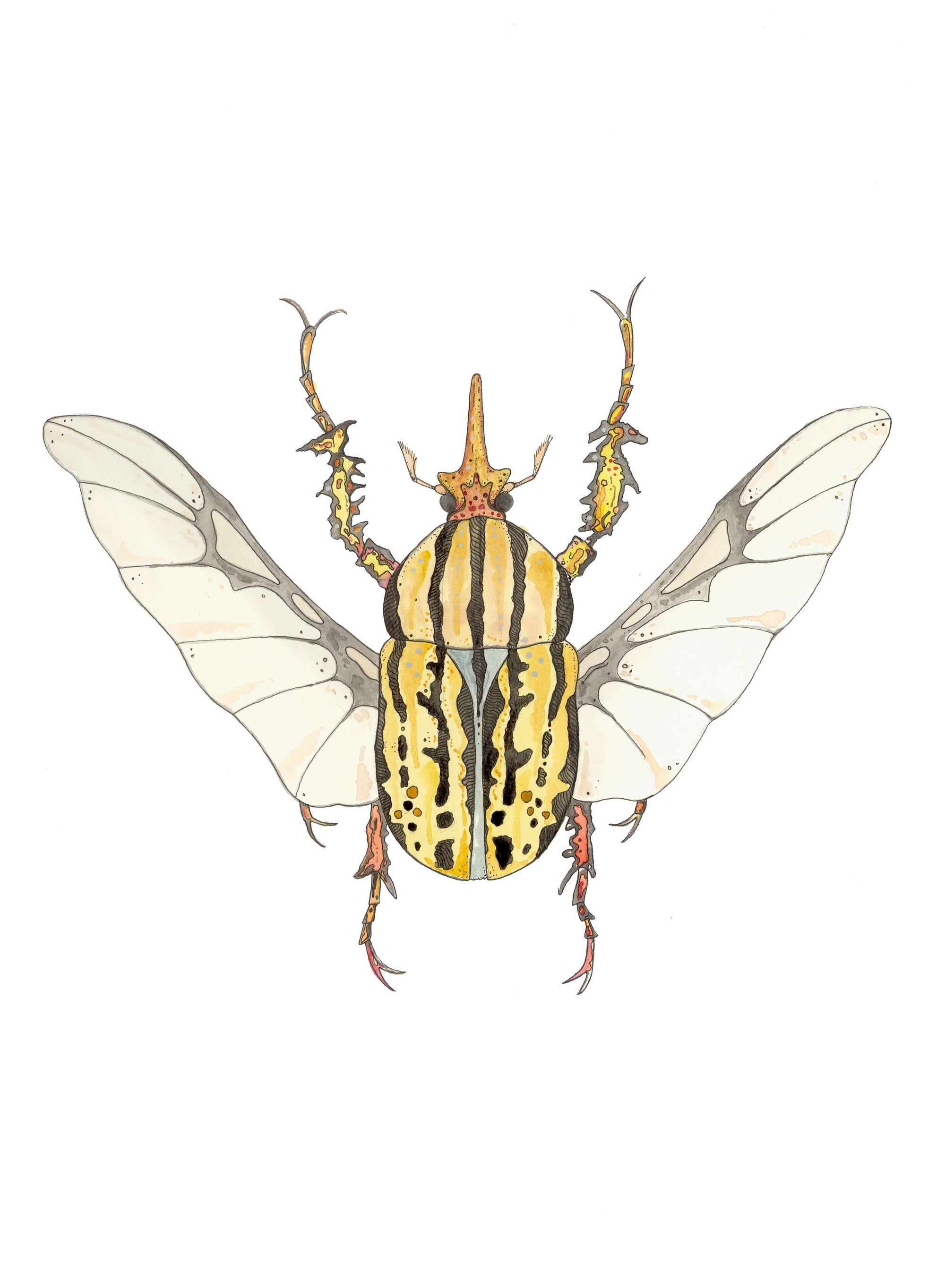 Coleopteros - Black on Yellow Print by Patrick Kelleher