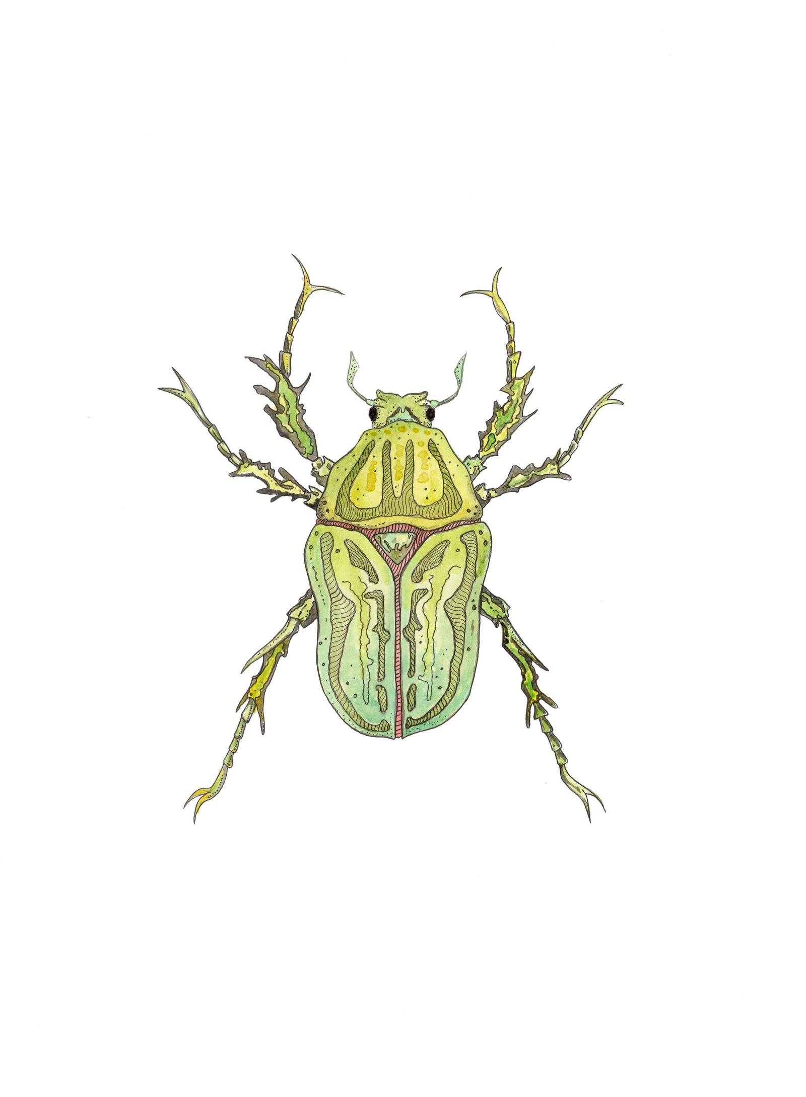 Coleopteros - Lime Print by Patrick Kelleher