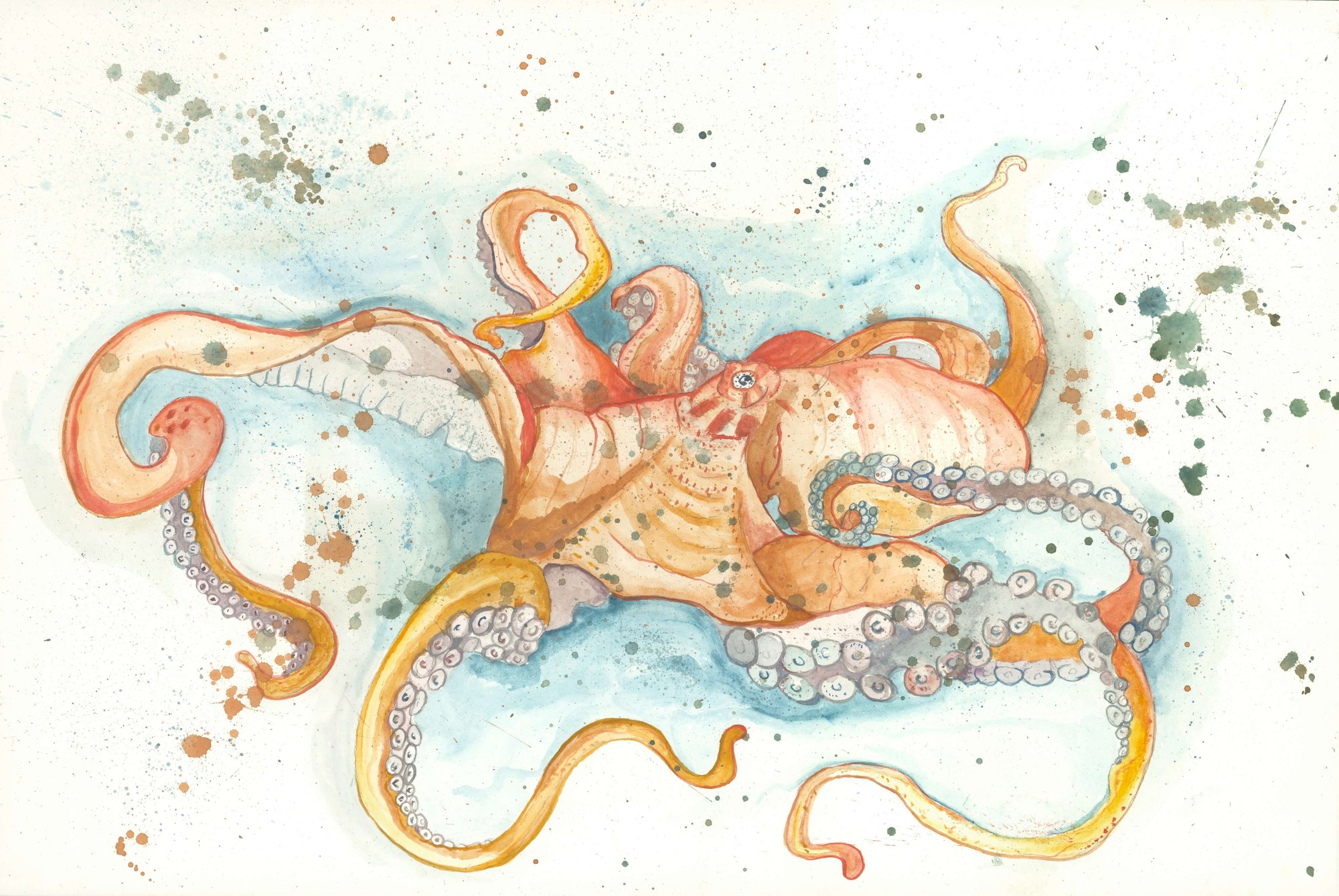 Octopus Print by Patrick Kelleher